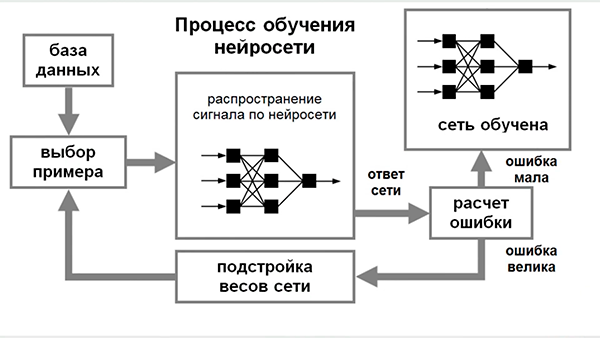 Цифровые технологии будущего: нейросети (команда Digital Immigrants, г. Брянск, видео для Семейного IT-марафона 2022)